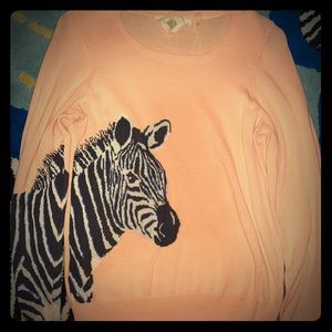 Anthropologie HWR Pink Zebra Sweater